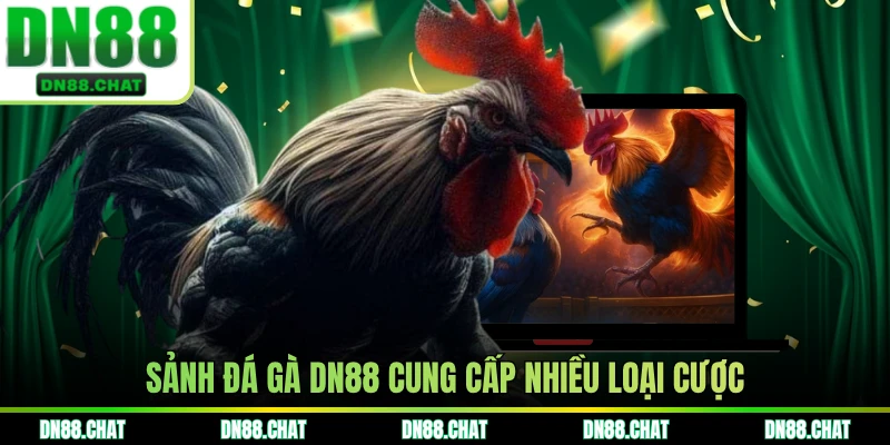 Sảnh đá gà DN88 cung cấp nhiều loại cược